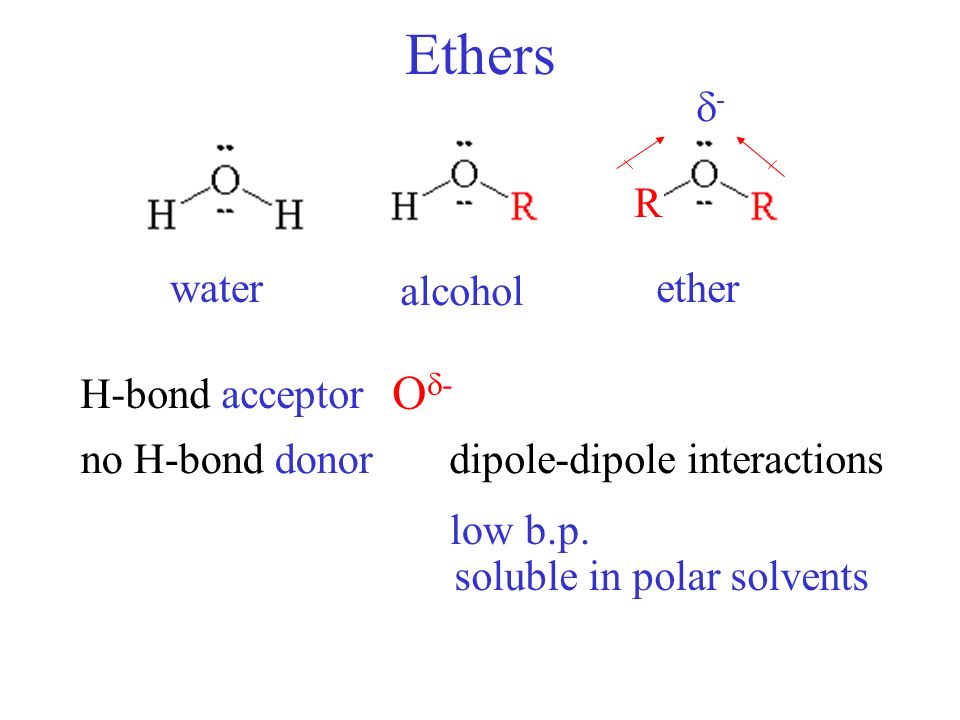 Ethers no hydrogen bond Ethers no hydrogen bond too late invest bitcoin